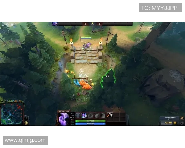 深度探讨杨丽在DOTA2世界中的成长与挑战之路